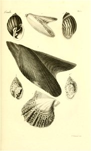 n136_w1150