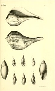 n82_w1150