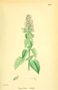 n118_w1150