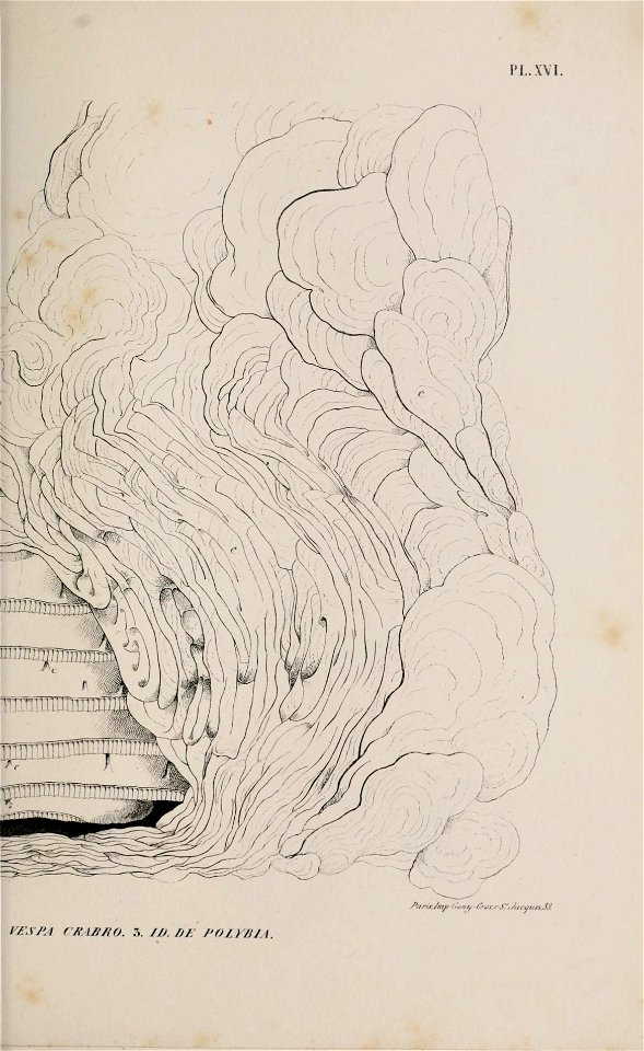 n218_w1150