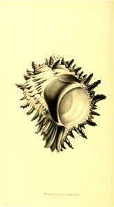n139_w1150