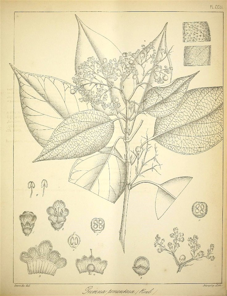 n196_w1150