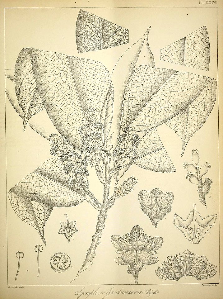n138_w1150