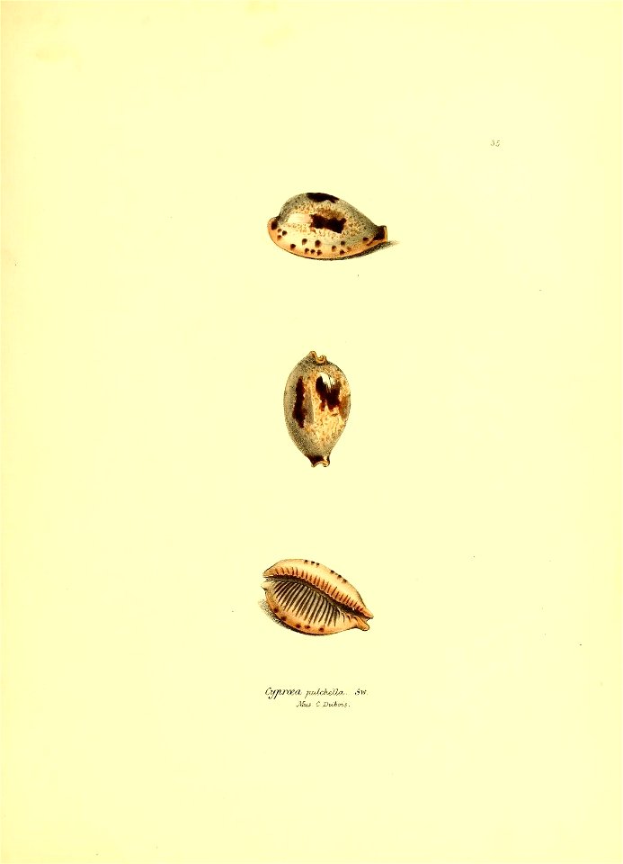 n178_w1150