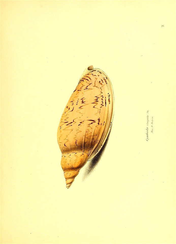 n120_w1150