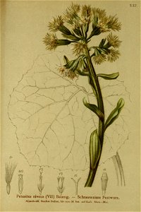 n206_w1150