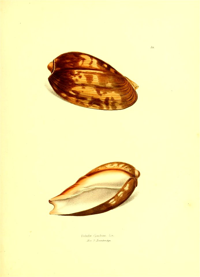 n174_w1150