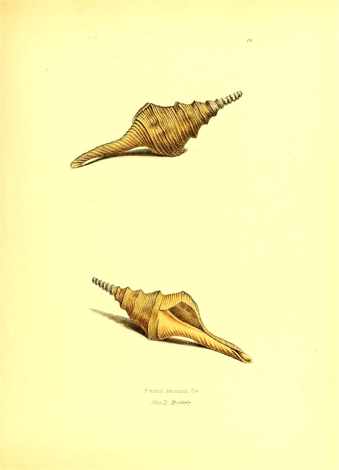 n116_w1150
