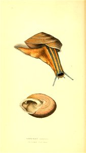 n37_w1150