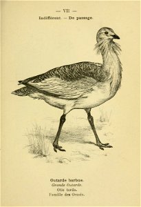n166_w1150