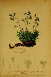 n114_w1150