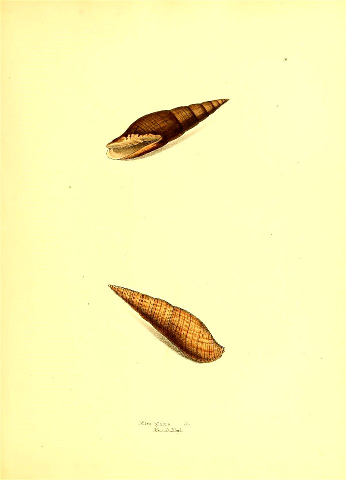 n112_w1150