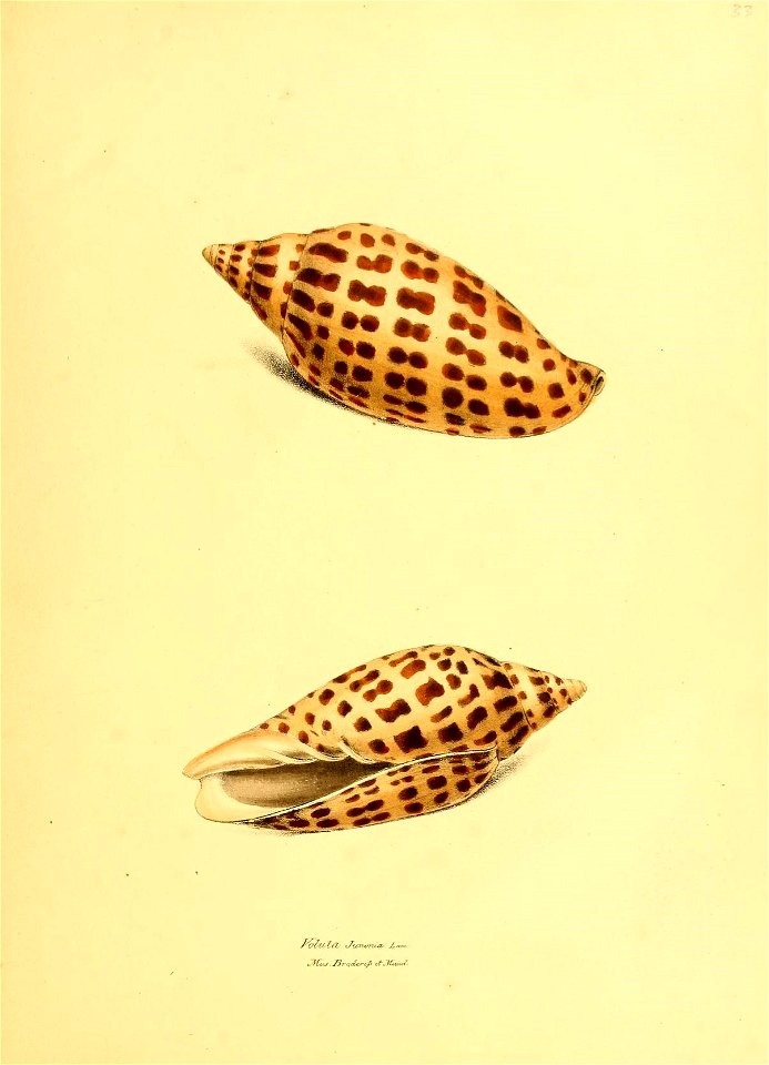 n172_w1150