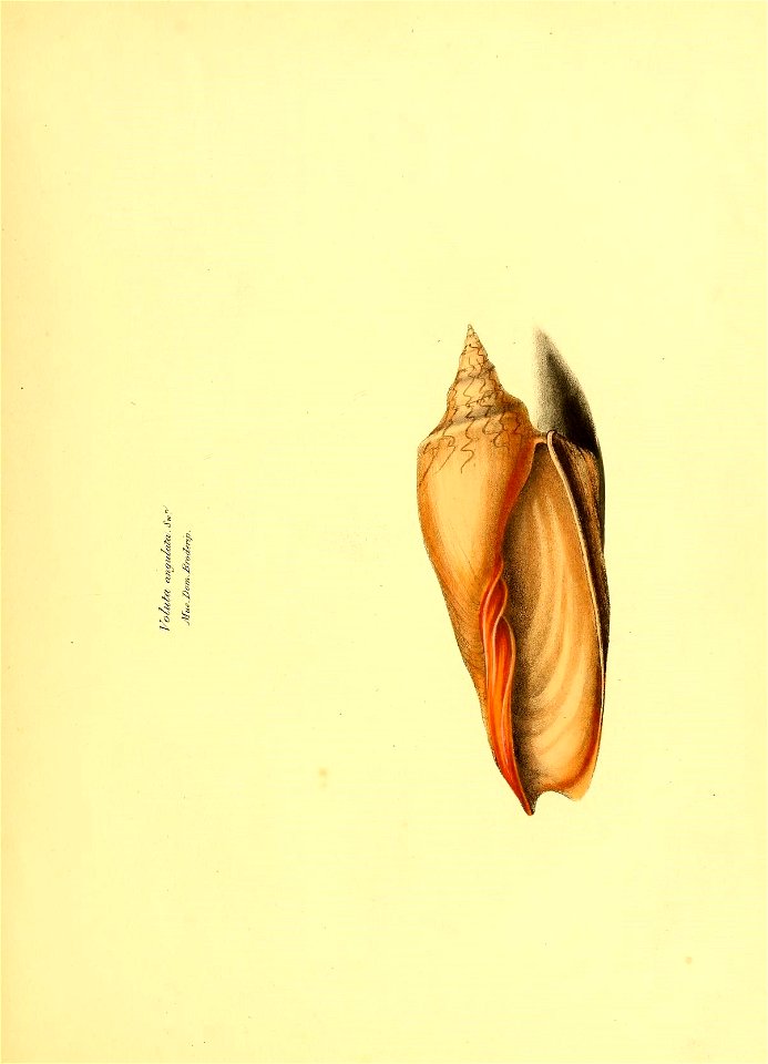 n58_w1150