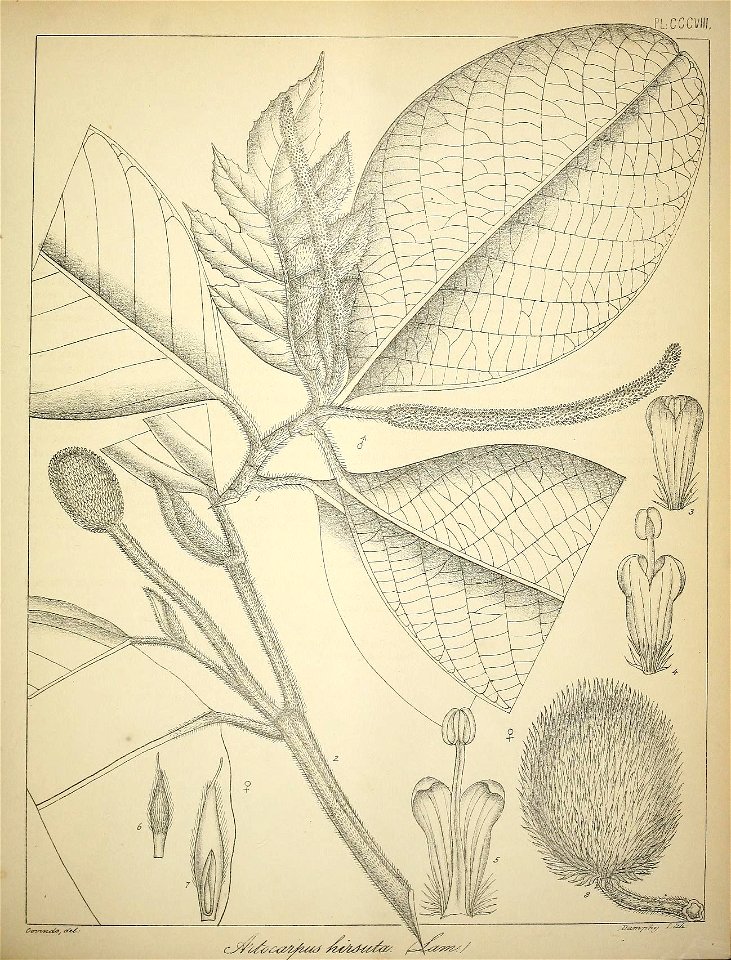 n424_w1150