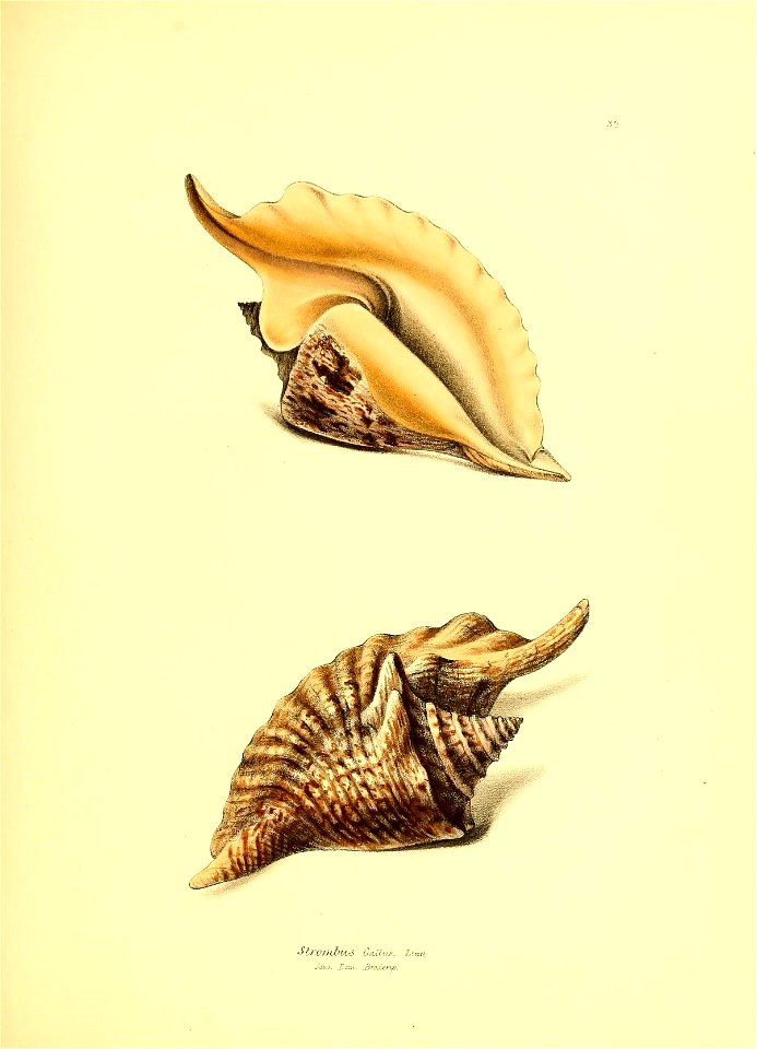 n168_w1150
