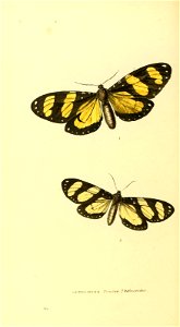 n205_w1150