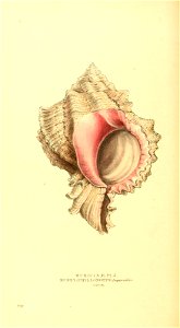 n115_w1150