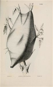 n224_w1150