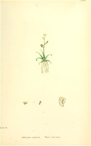 n542_w1150