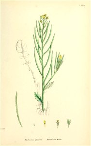 n504_w1150