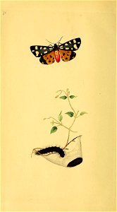 n163_w1150