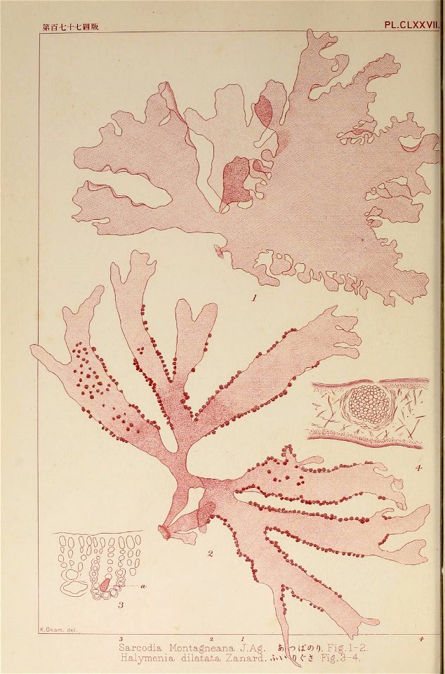 n175_w1150