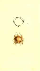 n210_w1150