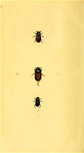 n157_w1150