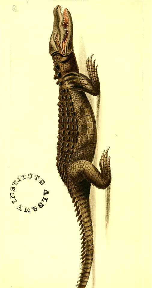 n205_w1150
