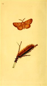 n153_w1150