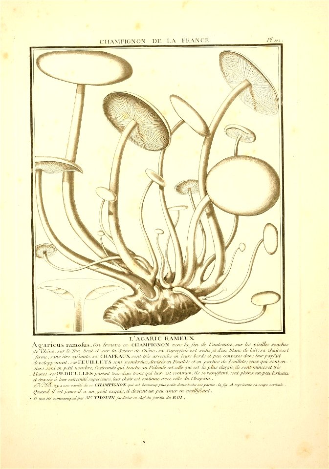 n16_w1150