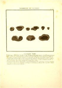 n44_w1150