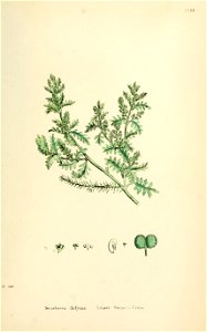 n574_w1150