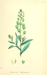 n544_w1150
