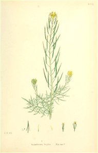 n452_w1150