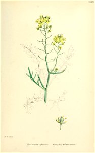 n508_w1150