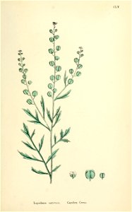n566_w1150