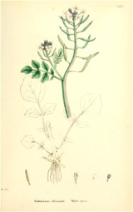 n506_w1150