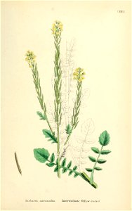 n502_w1150