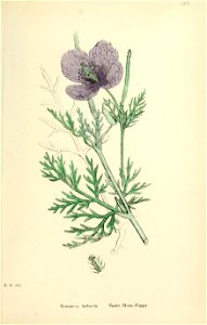 n382_w1150