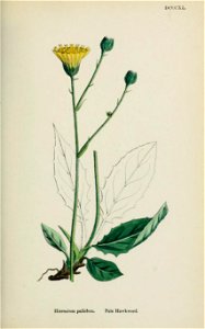 n576_w1150