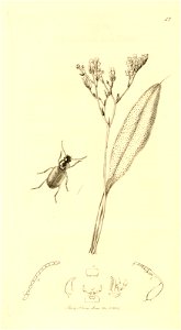 n191_w1150