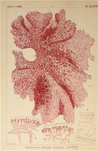 n173_w1150