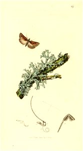 n123_w1150