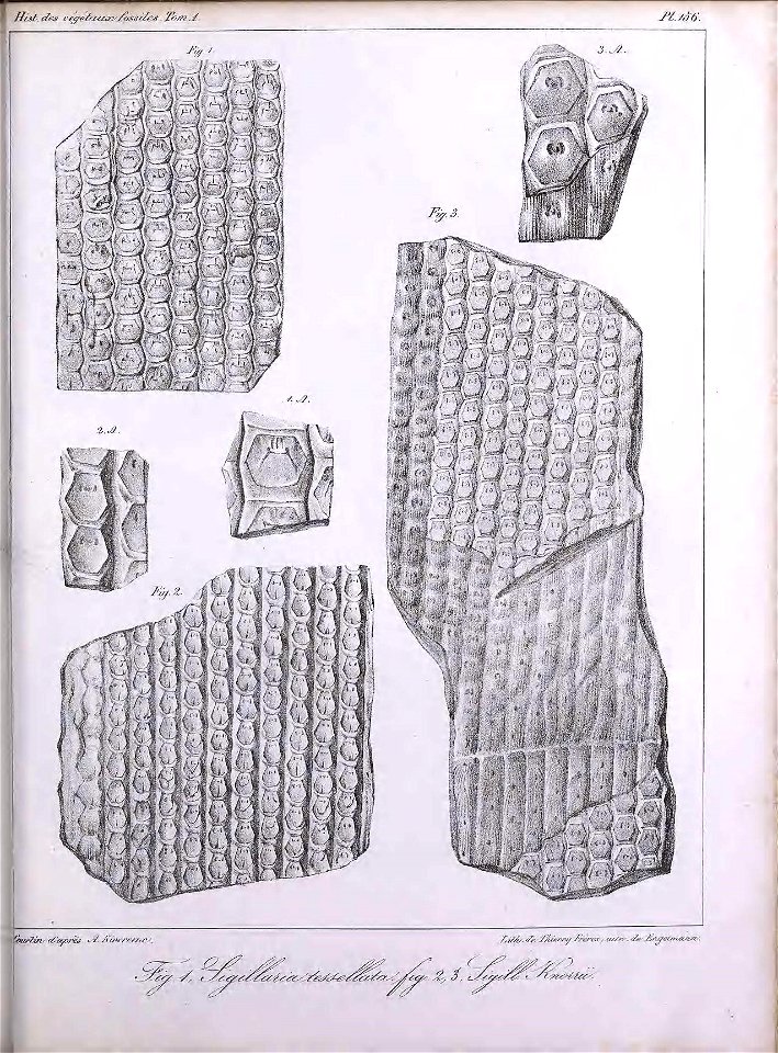 n412_w1150