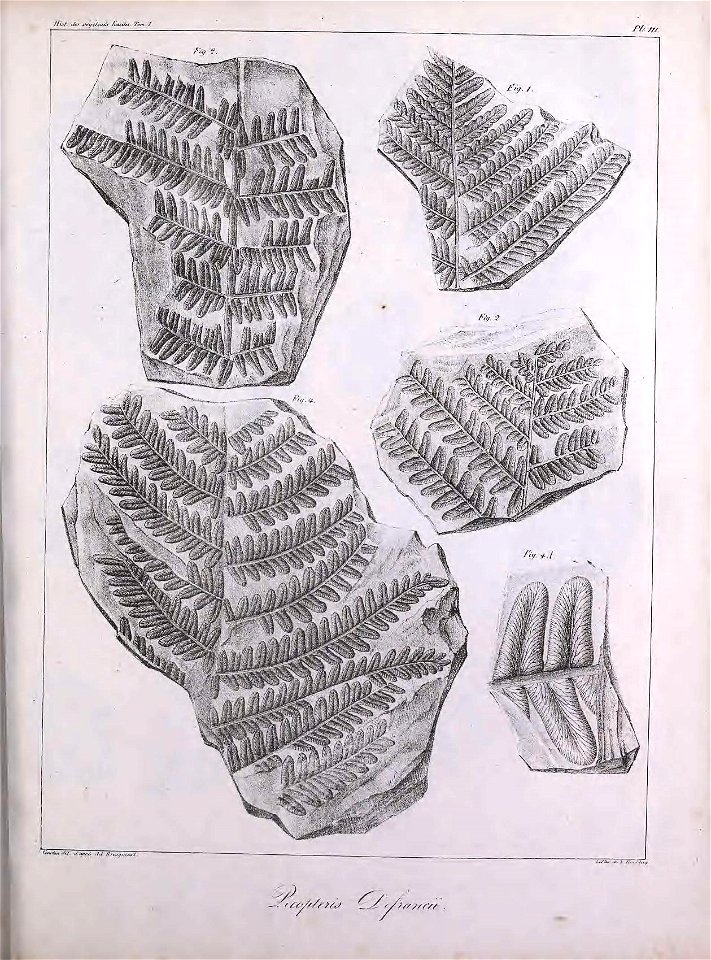 n322_w1150