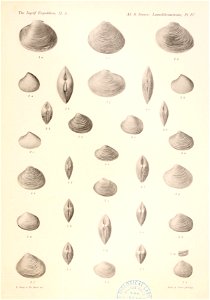 n142_w1150