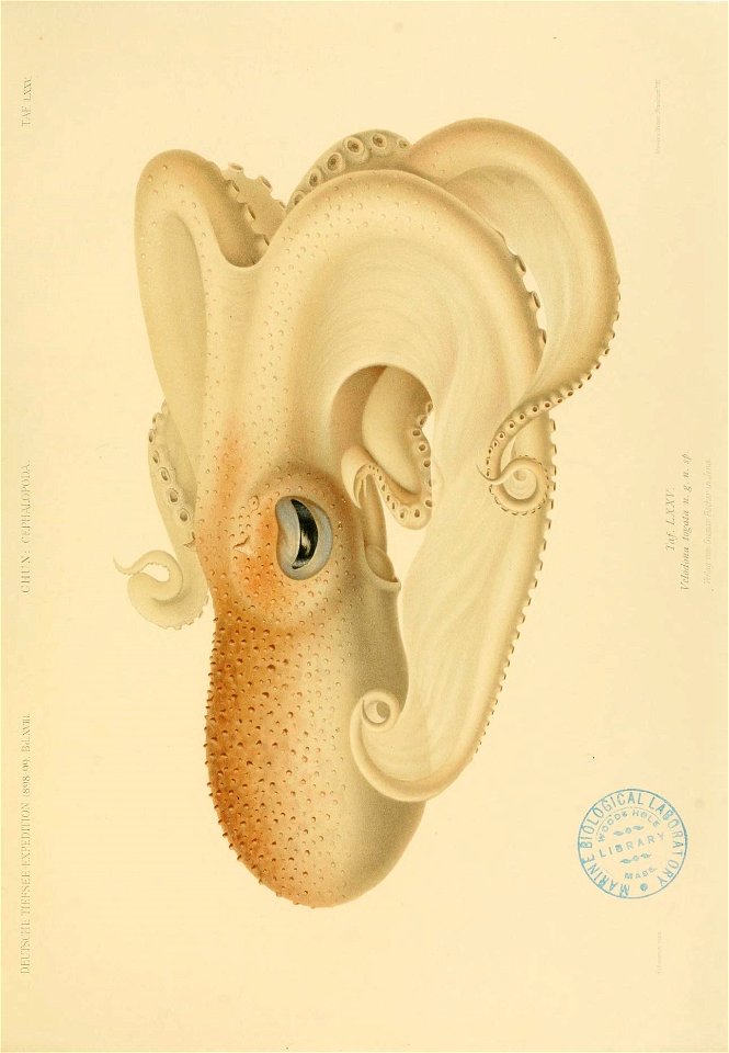 n206_w1150