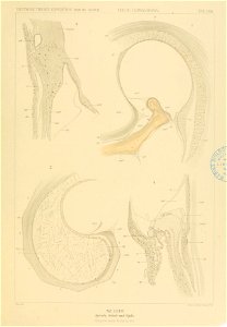 n194_w1150